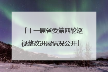 十一届省委第四轮巡视整改进展情况公开