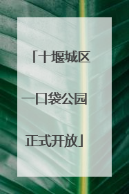 十堰城区一口袋公园正式开放