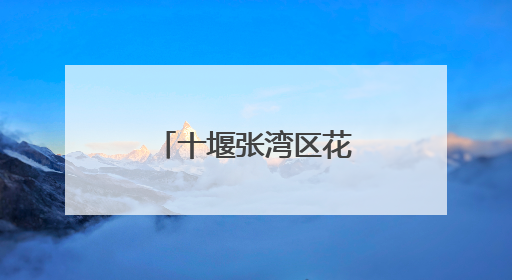十堰张湾区花果街道开展“东风故里育新风”品牌宣讲活动