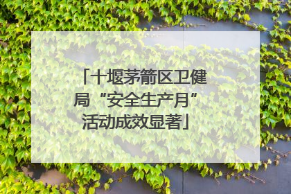 十堰茅箭区卫健局“安全生产月”活动成效显著