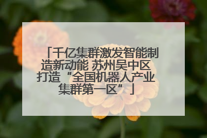 千亿集群激发智能制造新动能 苏州吴中区打造“全国机器人产业集群第一区”