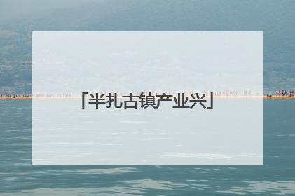 半扎古镇产业兴