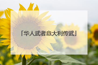 华人武者意大利传武