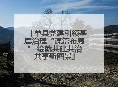 单县党建引领基层治理“谋篇布局” 绘就共建共治共享新图景