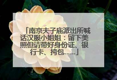 南京夫子庙派出所喊话汉服小姐姐：留下美照但请带好身份证、银行卡、挎包……