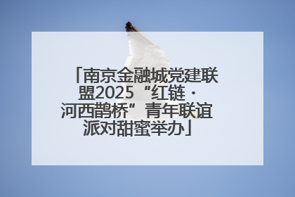 南京金融城党建联盟2025“红链・河西鹊桥”青年联谊派对甜蜜举办