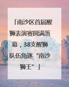 南沙区首届醒狮表演赛圆满落幕，38支醒狮队伍角逐“南沙狮王”