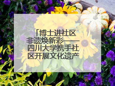 博士进社区 非遗焕新彩——四川大学携手社区开展文化遗产日特别活动