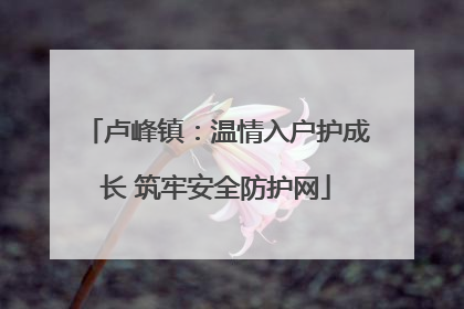 卢峰镇：温情入户护成长 筑牢安全防护网