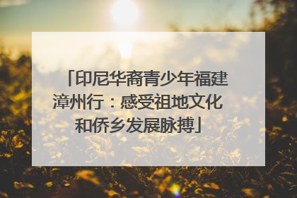 印尼华裔青少年福建漳州行：感受祖地文化和侨乡发展脉搏
