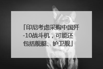 印尼考虑采购中国歼-10战斗机，可能还包括舰艇、护卫舰