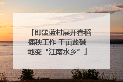 即墨蓝村展开春稻插秧工作 千亩盐碱地变“江南水乡”