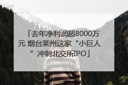 去年净利润超8000万元 烟台莱州这家“小巨人”冲刺北交所IPO