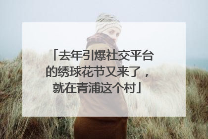 去年引爆社交平台的绣球花节又来了，就在青浦这个村
