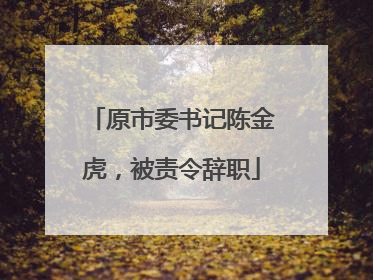 原市委书记陈金虎，被责令辞职