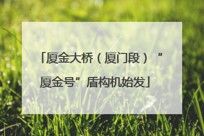 厦金大桥（厦门段）“厦金号”盾构机始发