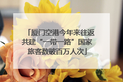 厦门空港今年来往返共建“一带一路”国家旅客数破百万人次