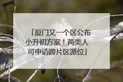 厦门又一个区公布小升初方案！两类人可申请跨片区派位