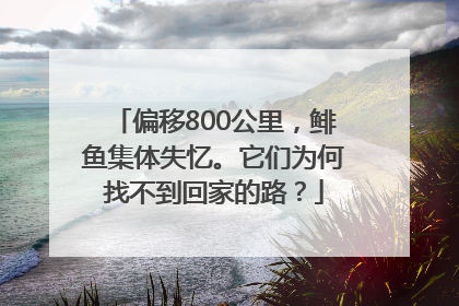 偏移800公里，鲱鱼集体失忆。它们为何找不到回家的路？