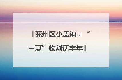 兖州区小孟镇：“三夏”收割话丰年
