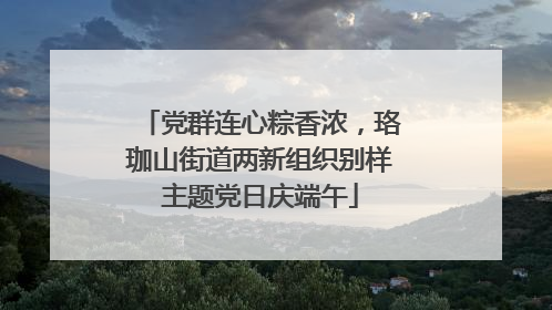 党群连心粽香浓，珞珈山街道两新组织别样主题党日庆端午