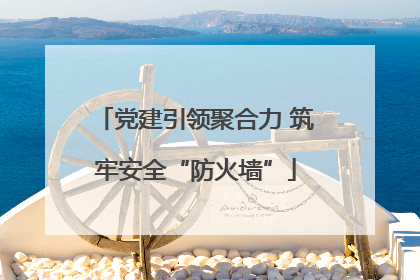 党建引领聚合力 筑牢安全“防火墙”