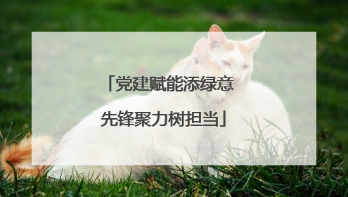 党建赋能添绿意 先锋聚力树担当