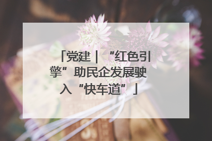 党建｜“红色引擎”助民企发展驶入“快车道”