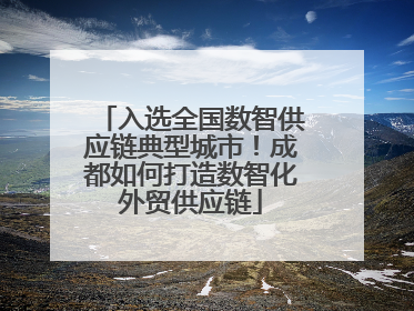 入选全国数智供应链典型城市！成都如何打造数智化外贸供应链