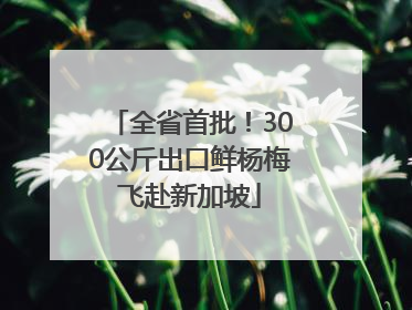 全省首批！300公斤出口鲜杨梅飞赴新加坡