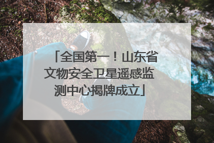全国第一！山东省文物安全卫星遥感监测中心揭牌成立