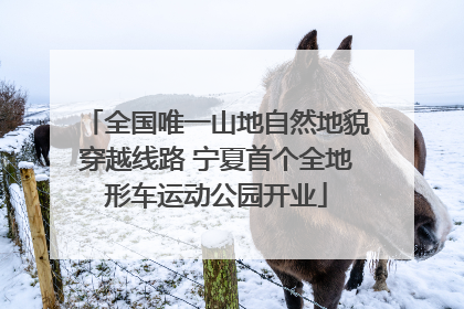 全国唯一山地自然地貌穿越线路 宁夏首个全地形车运动公园开业