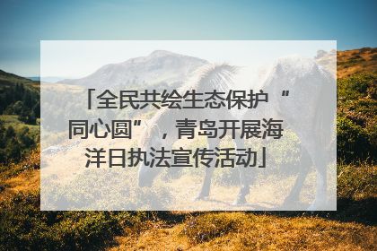 全民共绘生态保护“同心圆”，青岛开展海洋日执法宣传活动