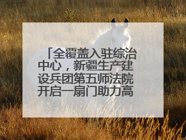 全覆盖入驻综治中心，新疆生产建设兵团第五师法院开启一扇门助力高速讨薪获赞