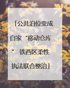 公共泊位变成自家“移动仓库” 铁西区柔性执法联合整治