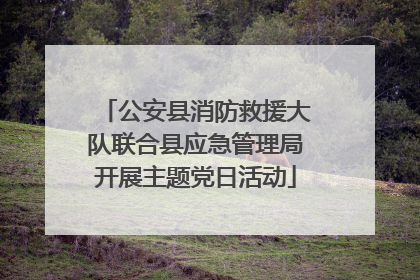 公安县消防救援大队联合县应急管理局开展主题党日活动