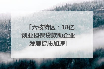 六枝特区：18亿创业担保贷款助企业发展提质加速