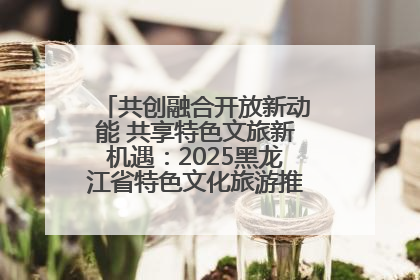 共创融合开放新动能 共享特色文旅新机遇：2025黑龙江省特色文化旅游推介会在抚远举行