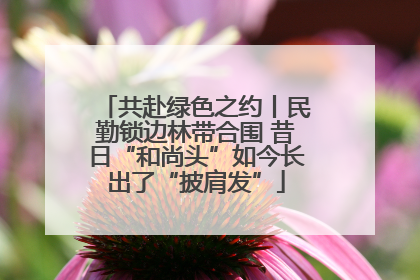 共赴绿色之约丨民勤锁边林带合围 昔日“和尚头”如今长出了“披肩发”