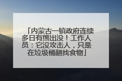 内蒙古一镇政府连续多日有熊出没！工作人员：它没攻击人，只是在垃圾桶翻找食物