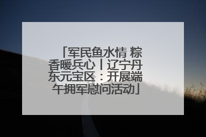军民鱼水情 粽香暖兵心丨辽宁丹东元宝区：开展端午拥军慰问活动