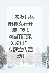农发行岳阳县支行开展“6·14信用记录关爱日” 专题宣传活动
