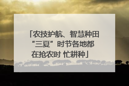农技护航、智慧种田 “三夏”时节各地都在抢农时 忙耕种