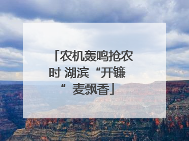 农机轰鸣抢农时 湖滨“开镰”麦飘香
