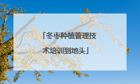 冬枣种植管理技术培训到地头