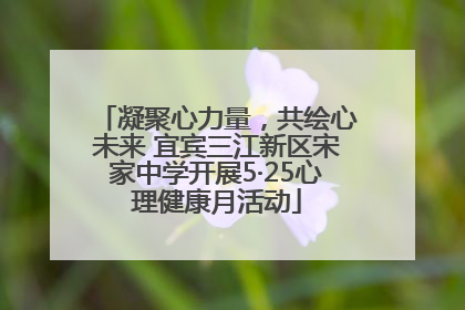 凝聚心力量，共绘心未来 宜宾三江新区宋家中学开展5·25心理健康月活动