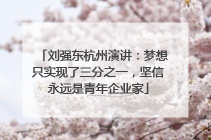 刘强东杭州演讲：梦想只实现了三分之一，坚信永远是青年企业家