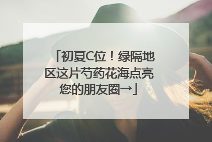 初夏C位！绿隔地区这片芍药花海点亮您的朋友圈→
