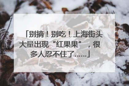 别摘！别吃！上海街头大量出现“红果果”，很多人忍不住了……