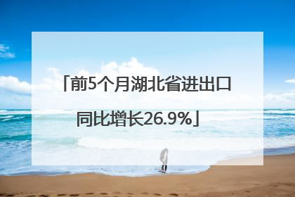 前5个月湖北省进出口同比增长26.9%